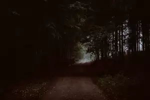 Převislé Zelené Rostliny Do Truhlíků
