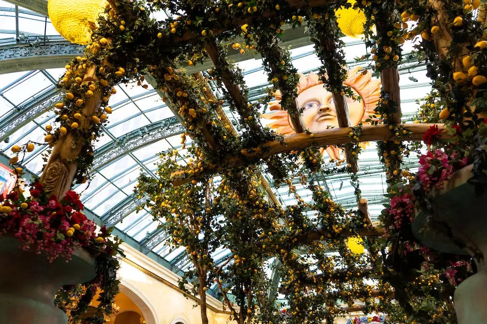 Pergola U Domu