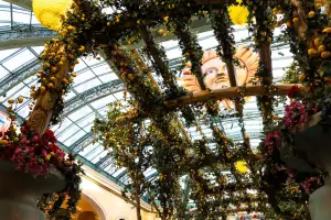 Pergola U Domu