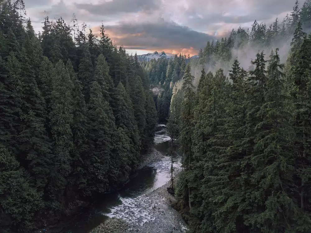 Světýlka Na Stromeček