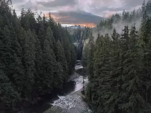 Světýlka Na Stromeček