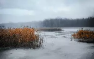 Jak Se Zbavit Oparu