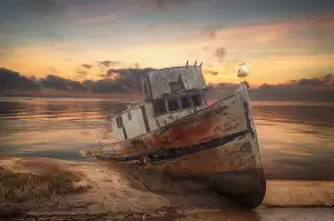 Barko
