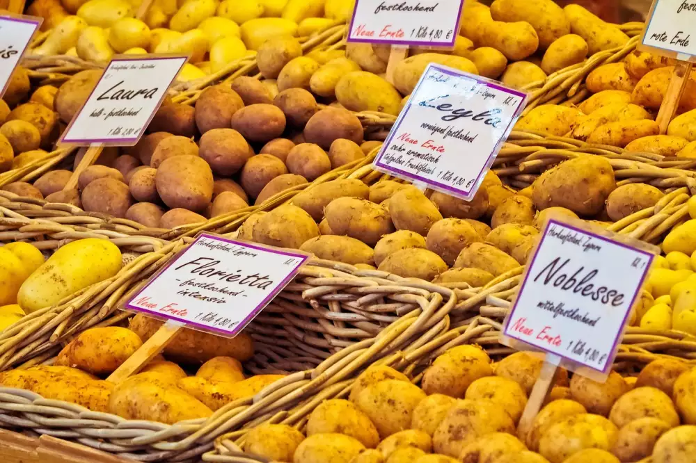 Prodej Bytu Pardubice