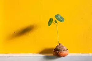 Keramické Květináče