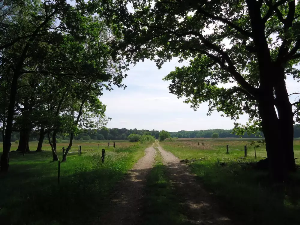 Jednolůžková Postel