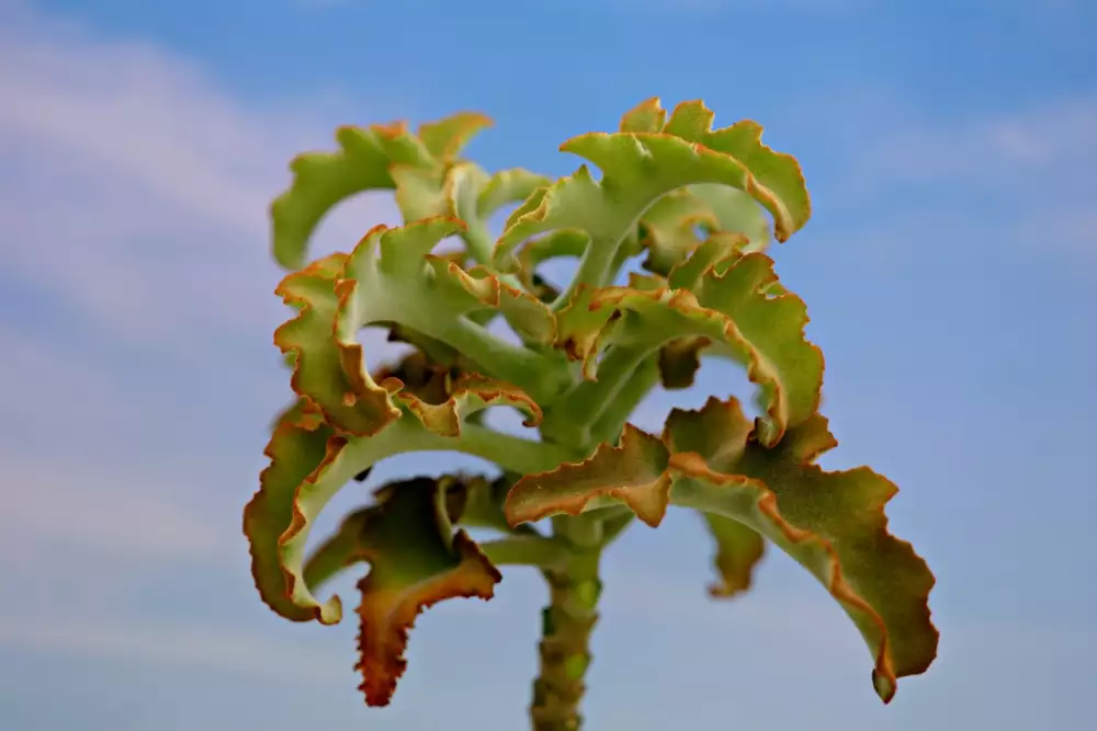 Zábradlí Na Terasu