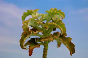 Zábradlí Na Terasu