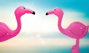 Nafukovací Plameňák