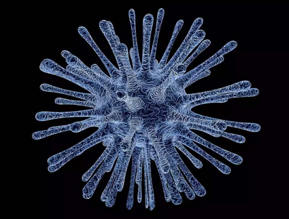 Refluxní Choroba Jícnu