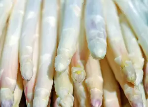 Asparagus