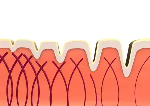 Premium Collagen Complex