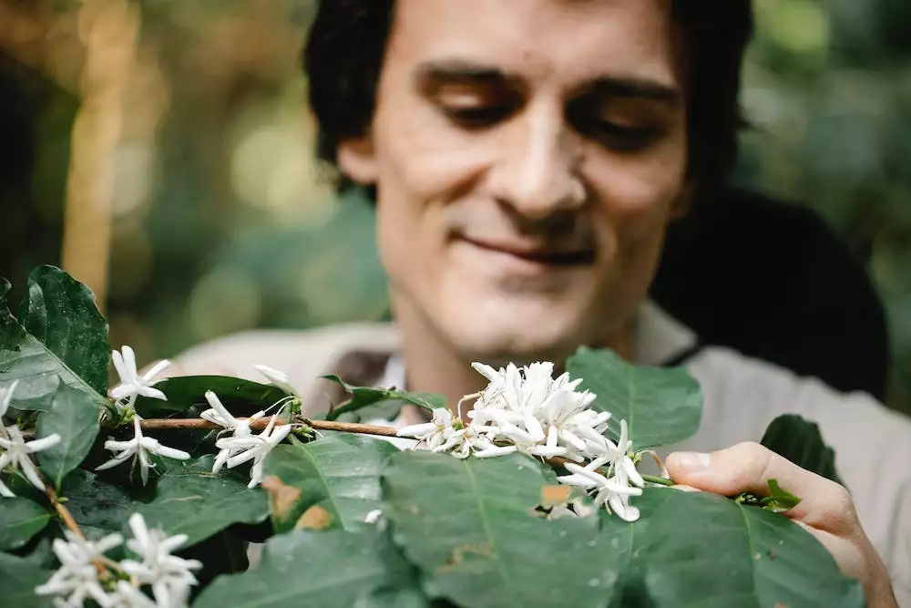 Konferenční Stolek Dub