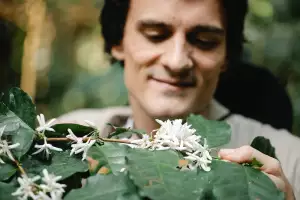 Konferenční Stolek Dub